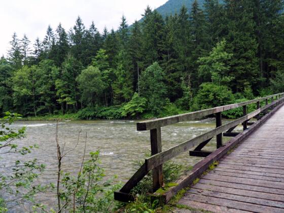 Traunbrücke 524m