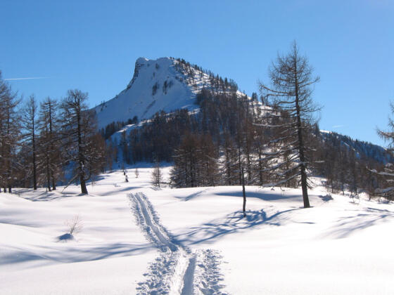 Gipfel Hochwieskopf