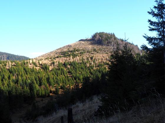 Gsolberg ~1230m