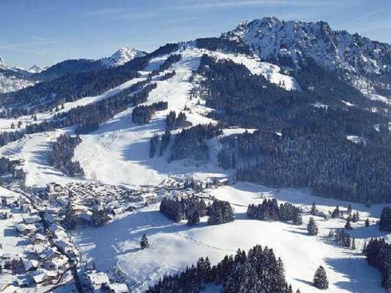 Jungholz im Wintermantel, von oben aus gesehen.