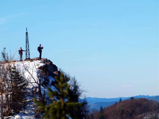 Schoberstein 1285m