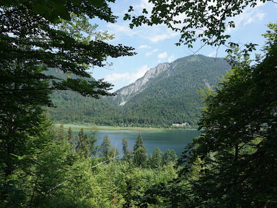 Blick zum Weitsee