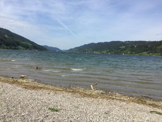 Alpsee