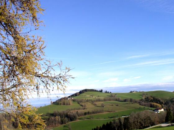 Kaiblinger Kogel 752m vom Riegler gesehen.