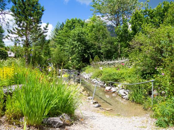 Wassertretbecken im Alpengarten in Pfronten-Steinach
