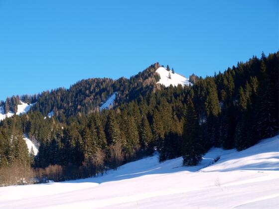 Kreuzbauernspitz 1657m