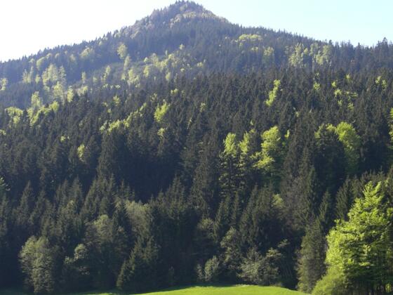 Hochschergenblick