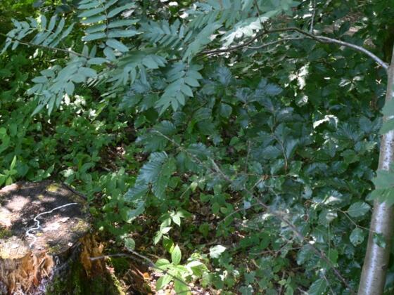 KW 04 Foto Lili Androsch