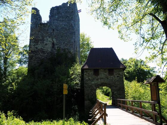 Ruine Haichenbach 471m