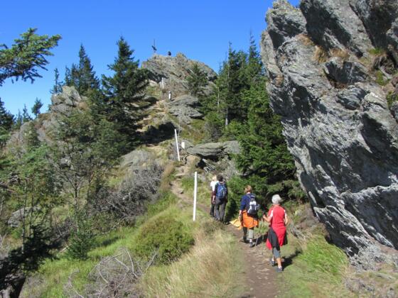 Die letzten Meter vor dem Ossergipfel