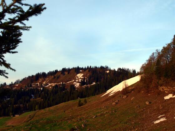 Illingerberg 1479m