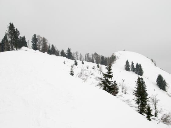 Wieslerhorn