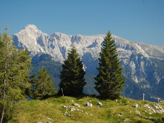 Blick vom Bannkopf zum Hohen Göll