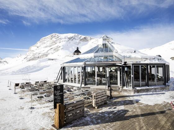 Gletschergarten Zugspitze