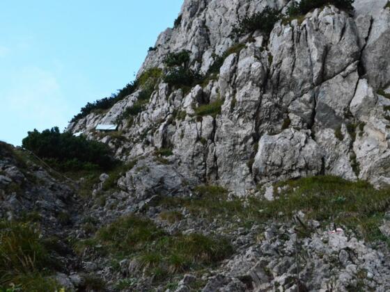 kurz vor der Abzweigung (etwa 1500m)