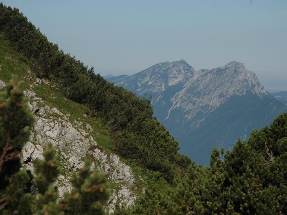 Hochstaufen und Zwiesel von der Mittagsscharte