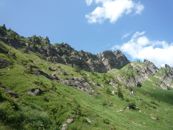 Hochgrat Nordseite Nagelfluhmassiv