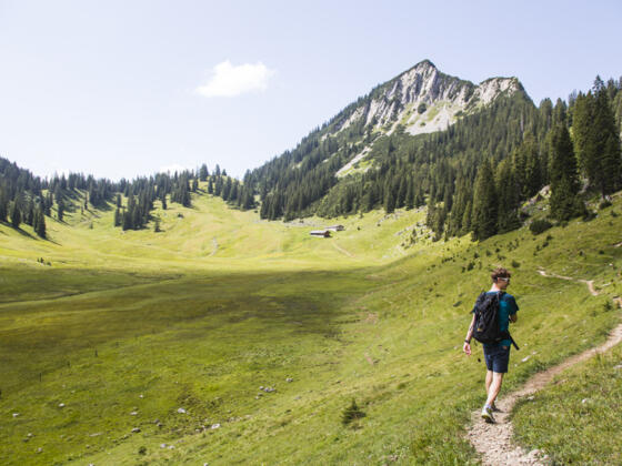 kurz vor der Hütte