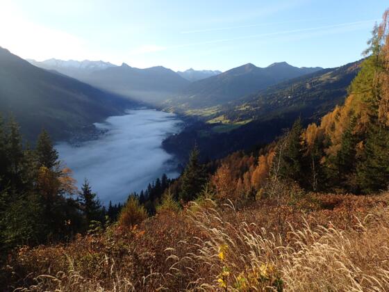 Aussichtspunkt Bürgermeisterblick