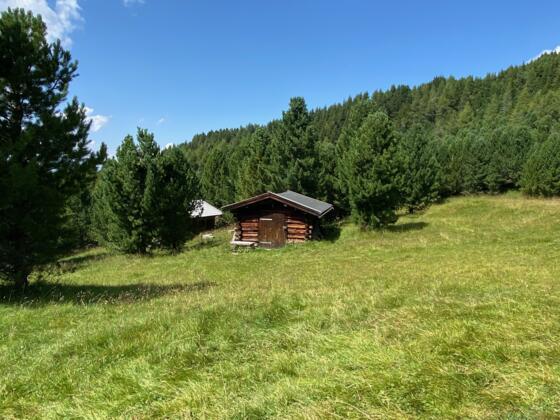 Die sonnenverbrannten und idyllischen Heustadln inmitten von Zirben und Bergwiesen bei den Issmähdern.