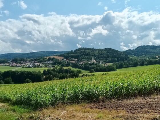 Blick nach Wetzelsberg