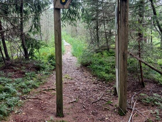 Portal zum Weihermoos Görisried
