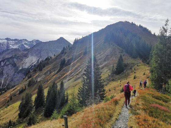am Weg zum Schnippenkopf