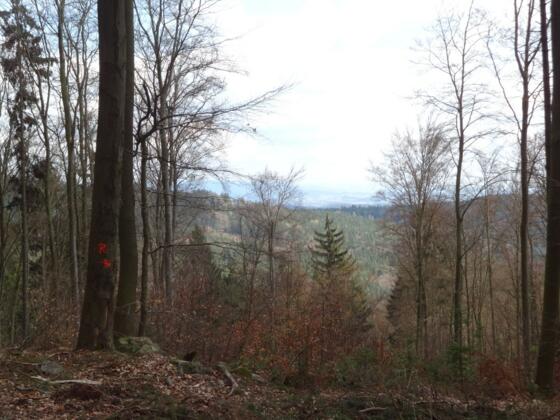 Blick in den Gäuboden