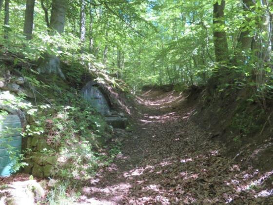 Hohlweg mit Keller