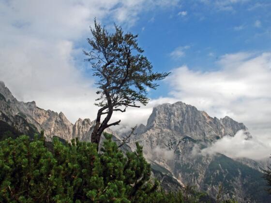 Blick zum Mühlsturzhorn