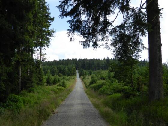 Highway to Haidel