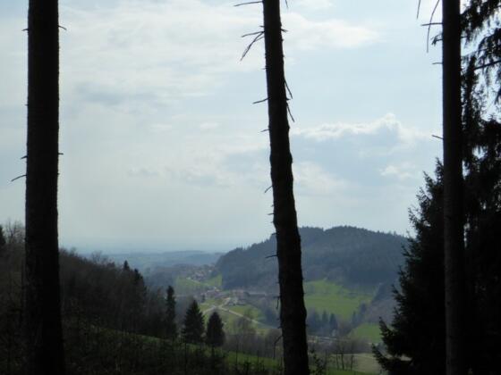 Blick nach Mühlbogen
