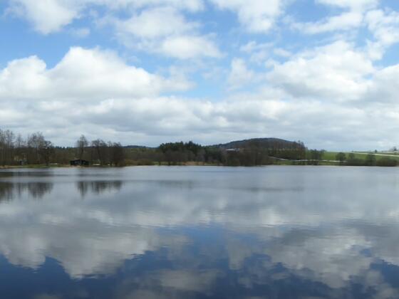 Blick auf den Neuweiher