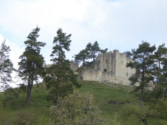 Blick auf die Ruine Lichtenegg