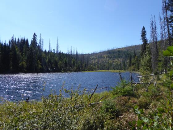 Jezero Laka - Lackensee