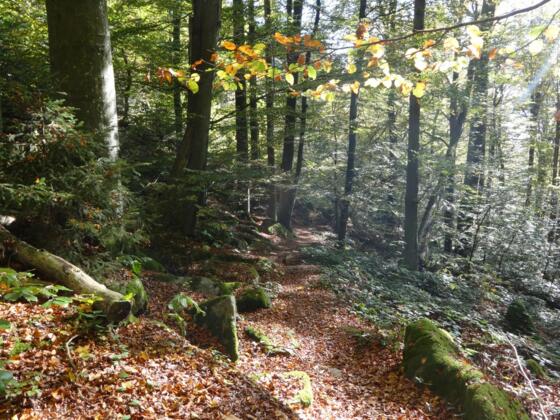 Schützensteig