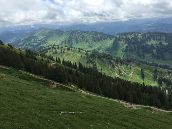 Blick vom Hochgrat nach Süden