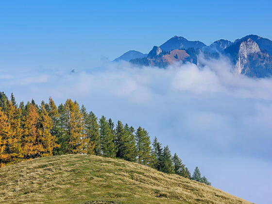 Im Inntal der Nebel, hoch oben auf dem Weg zum Großen Riesenkopf die Sonne