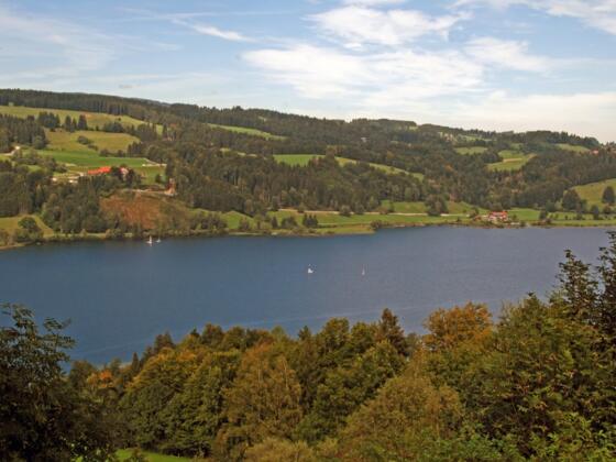 Der Große Alpsee