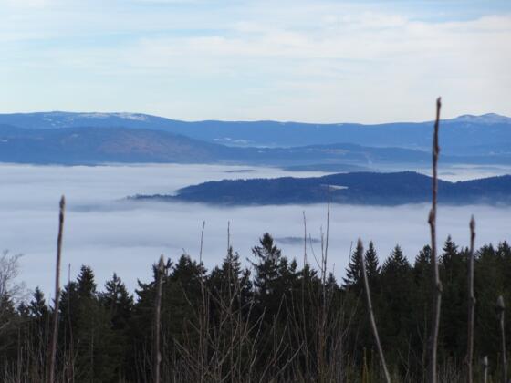 Blick in den Bayer. Wald