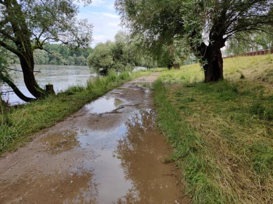 Am Treidelweg