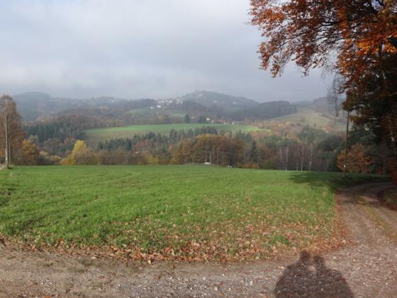 Blick vom Leibelberg nach Brennberg