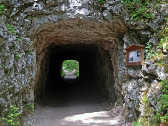 Ehemaliger Eisenbahntunnel am Waldbahnweg