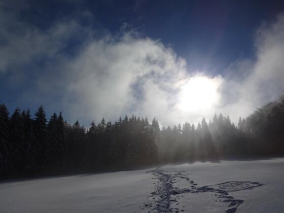 Winter-Wonderland 3