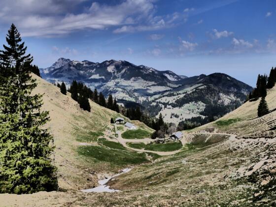 Seelacher-Alm im Hintergrund links der Wendelstein