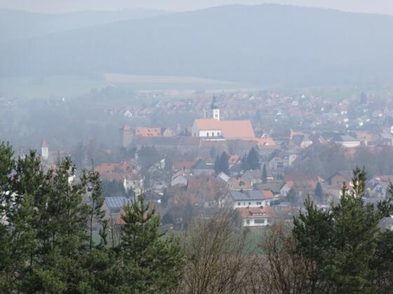 Blick auf Neunburg