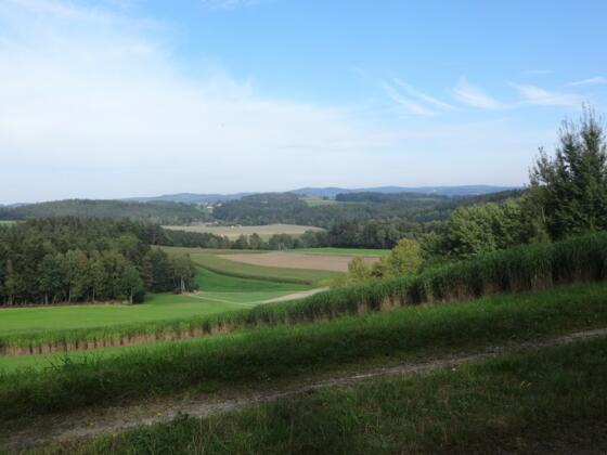 kurz vor Wilchenreuth