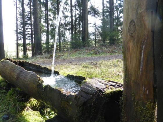 Brunnen kurz nach Steegen