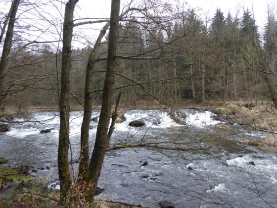 "Wasserfall" an der Schwarzach