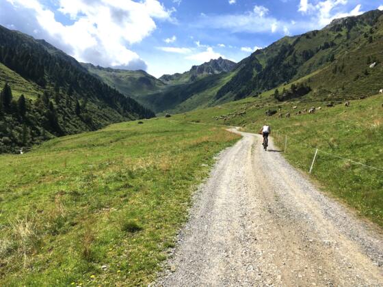Mit Blick auf den Hippold geht es hinein ins Hochtal der Grafennsalm.